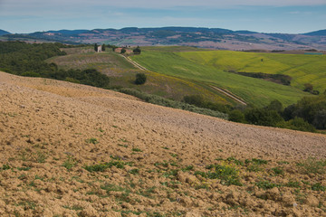 Fototapeta na wymiar Paesaggio collinare rurale tipico della toscana