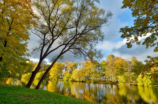 Autumn landscape in the Park.