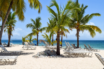 Beach with palms and white sand and sunbeds in front of the ocean, caribbean island cayo levantado