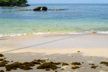 white beach with sea grass and turquoise ocean