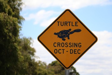 Traffic sign for turtles crossing from October to December, Australia