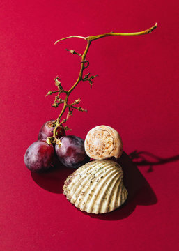 shells and grapes