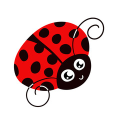 Cute ladybug