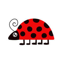 Cute ladybug