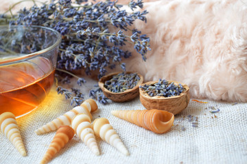 Lavender herbal tea, Flowers in walnut shell, Alternative medicine, Background