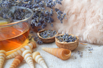 Lavender herbal tea, Flowers in walnut shell, Alternative medicine, Background