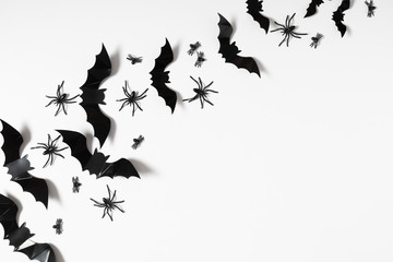 Halloween decorations concept. Halloween with spiders, black bats on white background. Flat lay, top view, copy space - obrazy, fototapety, plakaty