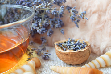 Lavender herbal tea, Flowers in walnut shell, Alternative medicine, Background