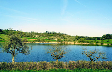 Fototapeta premium Very natural view of the lake in Vulkaneifel Drei Maare Eifel Germany