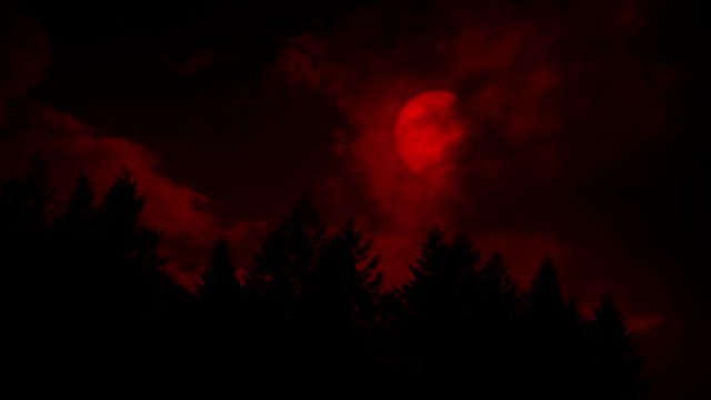 Blood Red Moon Comes Out From Behind Clouds In The Woods