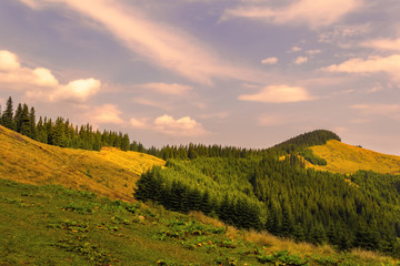Naklejka na ściany i meble Summer landscape in the Carpathians. Sunset in the mountains.
