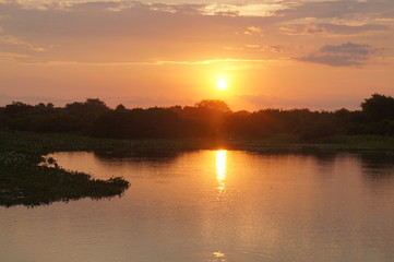 Fototapeta na wymiar Panoramic beautiful sunset in Pantanal landscape from Brazil. Brazilian nature along Transpantaneira road. Cuiabá, Mato Grosso, Brazil