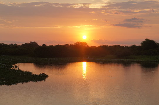 Panoramic beautiful sunset in Pantanal landscape from Brazil. Brazilian nature along Transpantaneira road. Cuiabá, Mato Grosso, Brazil © Luciana