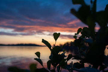 heart of sunset