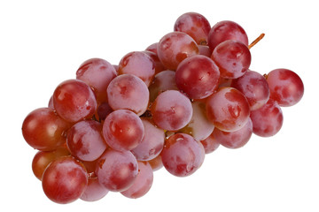 wild grapes isolated on a white background. Food