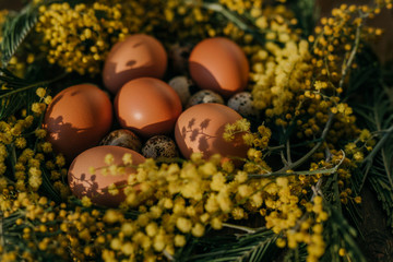 Mimosa wreath and eggs