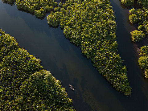 Boat in the middle of mangroves