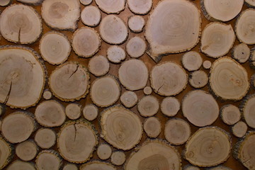 Texture, wooden round log cuts with annual rings and cracks decorate the wall.