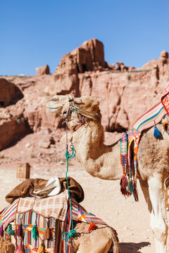 Exploring the ancient city of Petra, Jordan