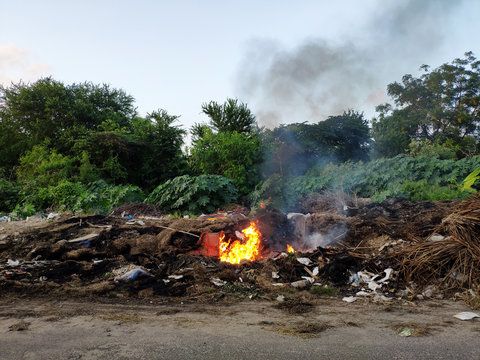 Garbage in the forest