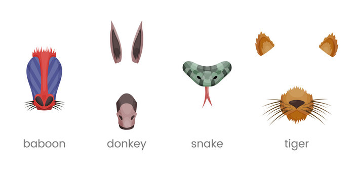 Animal face elements set. Animal ears and nose. Video chart filter effect for selfie photo. Cartoon mask of baboon, monkey, donkey, snake, dog.