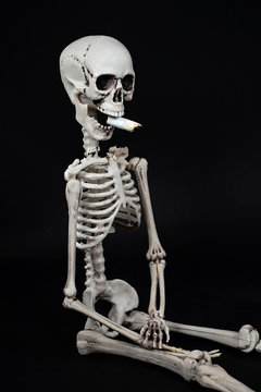 skeleton in sitting position with cigarette butt in mouth isolated on black