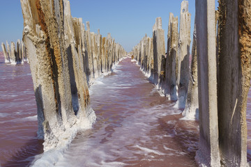 Palisade of the wooden frame of the destroyed dam on the lake Sasyk Sivash with rose water in the Western part of the Crimean Peninsula. Salty crystals at the base