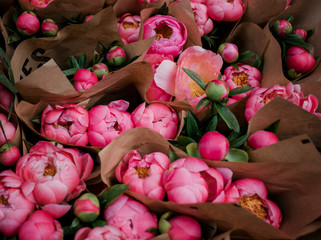 Bunches of pink peonies