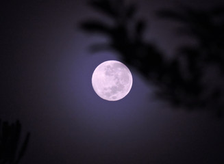 Noite com lua