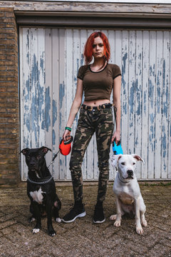 Woman with her two large puppies on a walk