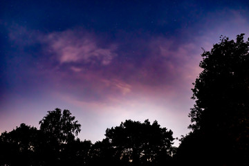 Fototapeta na wymiar Colour photograph of purple night sky with a tree top silhouette at bottom.