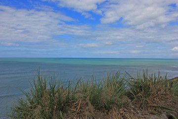 view over the sea on new zealands north island