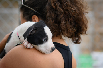 Woman holding a young puppy over her shoulder
