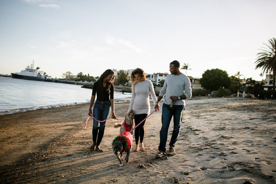 Family with dogs walks on beach at sunset