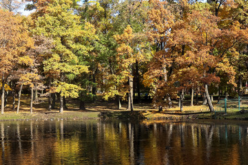 Fototapeta na wymiar Gatchina, Russia - autumn landscape in the Gatchina park