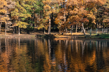 Gatchina, Russia - autumn landscape in the Gatchina park