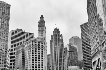 Fototapeta na wymiar Skyline of Chicago