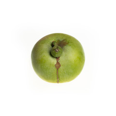 Trendy ugly food concept. Green apple isolated on white background. Fruit with a strange shape. The problem of food waste