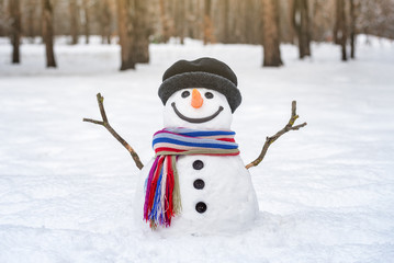 Snowman with arms outstretched from branches