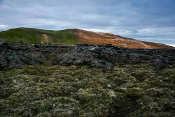 Leirhnjukur lava field covered with moss, overcast day in summer , film effect with grain