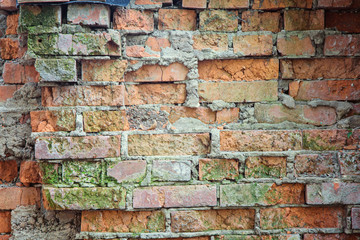 The texture of the brickwork with a growth of moss