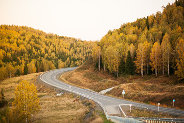 Asphalt road bends between the mountains. Bright autumn in the mountain Shoria.