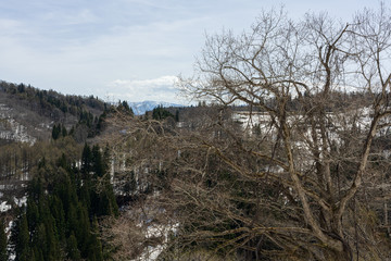 残雪残る春の風景