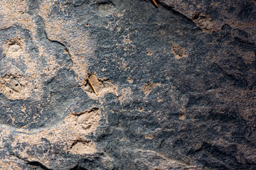 Stone Texture