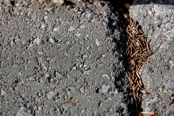 Close Concrete