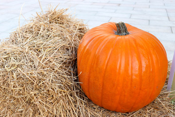 Large orange pumpkin on pack of hay