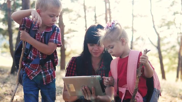 happy family little boy and girl scout navigation tourists teamwork slow motion video concept. mom son and daughter hiking in the forest looking for a way on a digital tablet. lifestyle group of