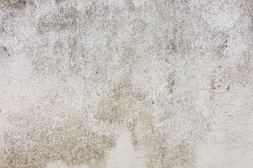 Texture of an old urban wall