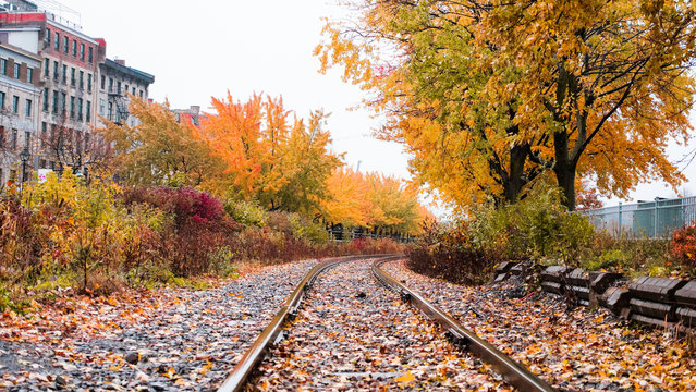 Montr&eacute;al Fall Train Tracks