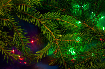 Fototapeta na wymiar Christmas tree branches in bright lights. New Year color background